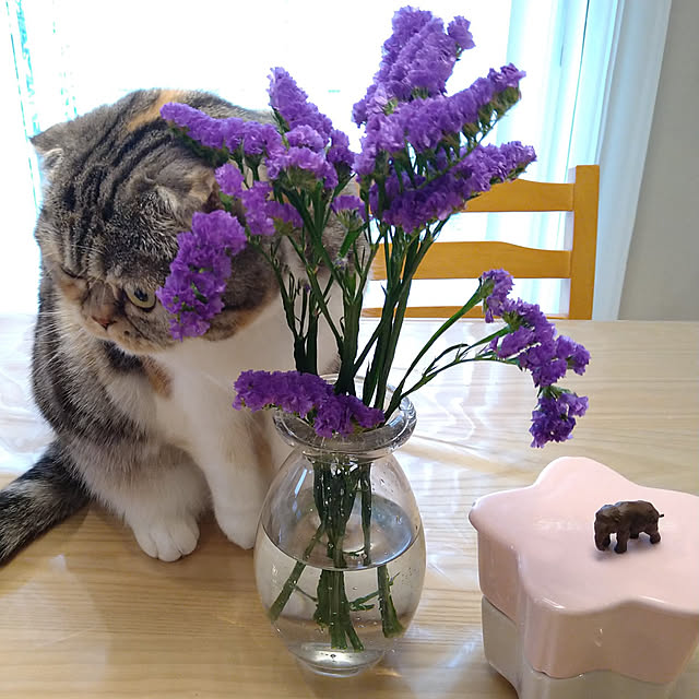 takiko0407さんの実例写真
