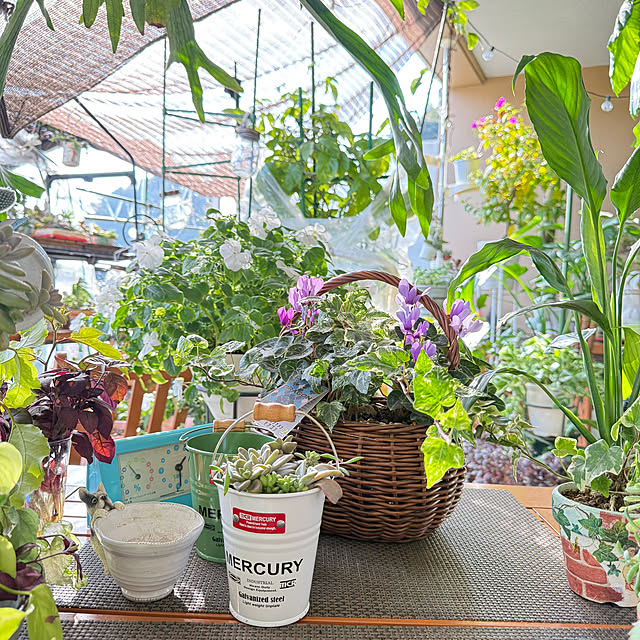 Aqettyさんの実例写真