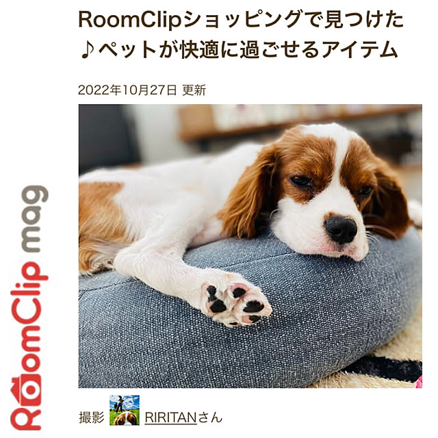 RIRITANさんの実例写真