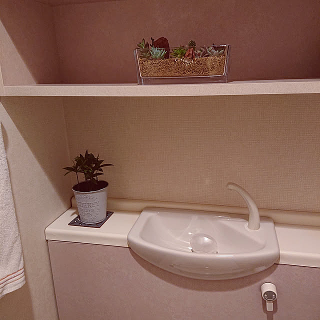 jkabmymycatさんの実例写真