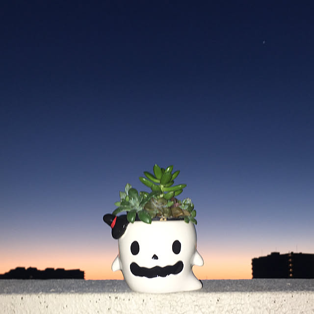kittyさんの実例写真
