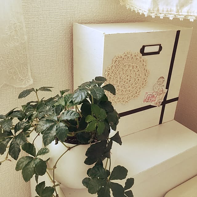 m.cocogardenさんの実例写真