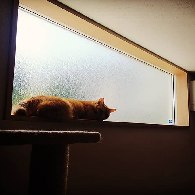 gemさんの実例写真