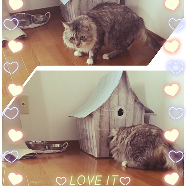 uiさんの実例写真