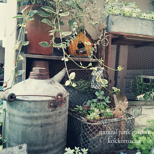 kokkomachaさんの実例写真