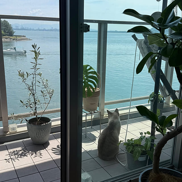 amさんの実例写真