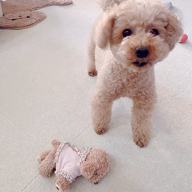 Momoさんの実例写真