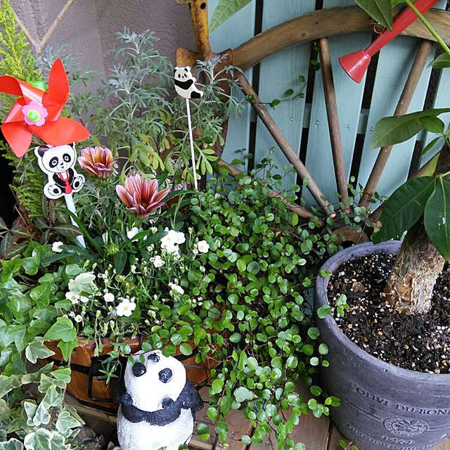 lovepandaさんの実例写真