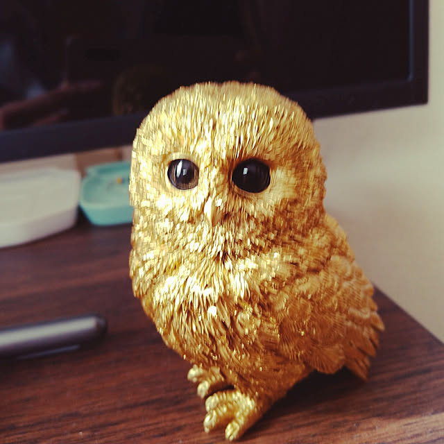 mameshibaさんの実例写真