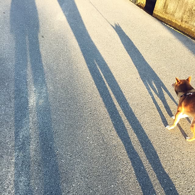 hanakoさんの実例写真