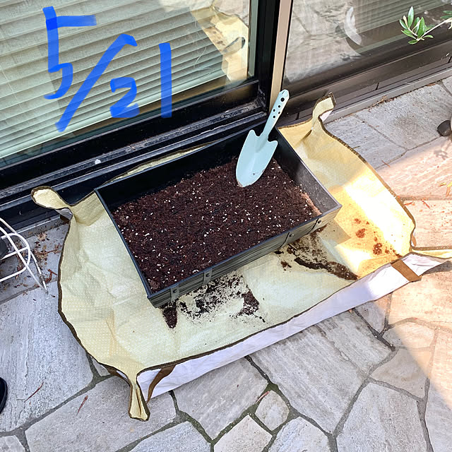 Minteaさんの部屋