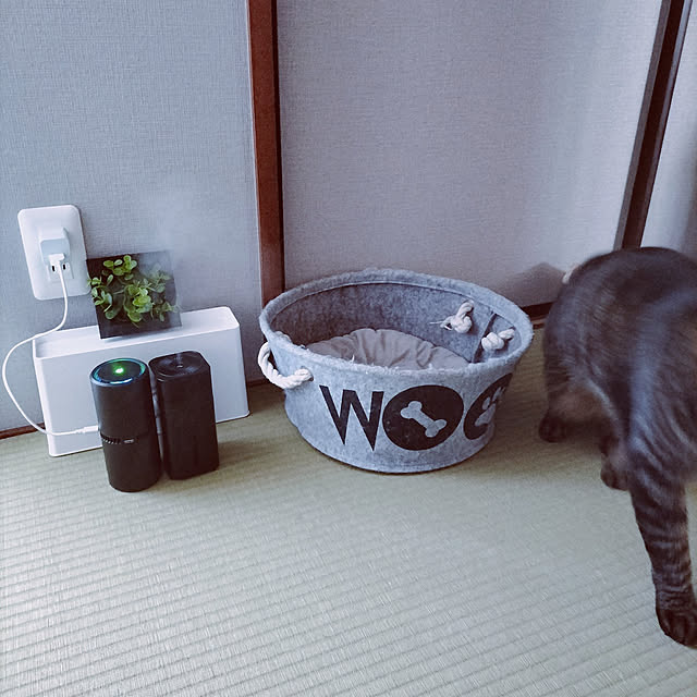 hihaさんの実例写真
