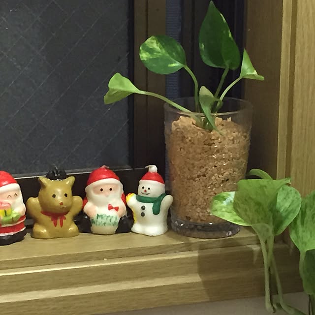 Yurikoさんの実例写真