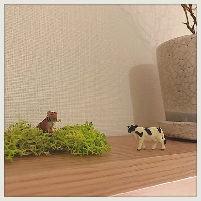 hikari_pppさんの実例写真