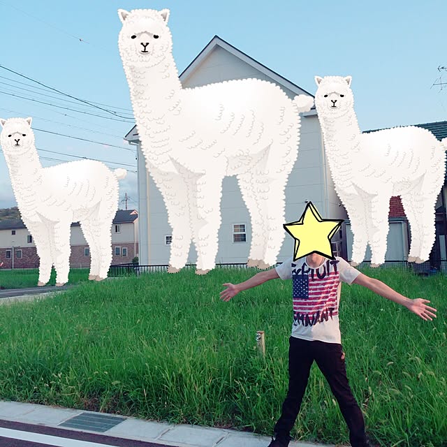 sallyさんの実例写真
