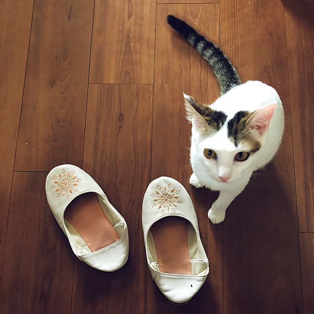 gigimunariさんの実例写真