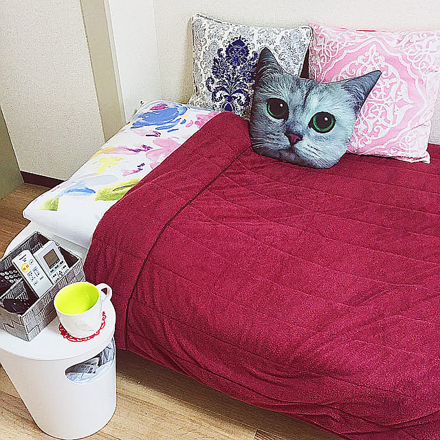 SSSさんの実例写真