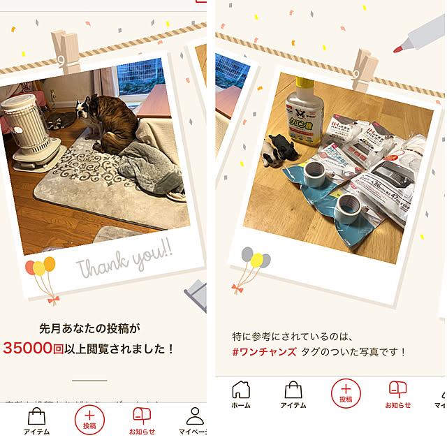 chi_gogaさんの実例写真