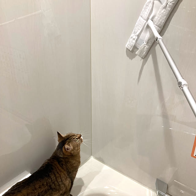 kirinsanさんの実例写真