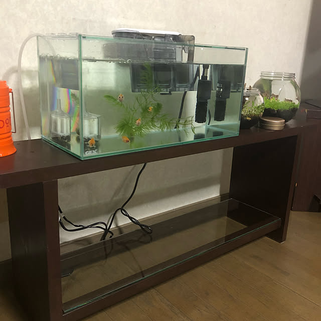 kanzi3719kankanさんの実例写真