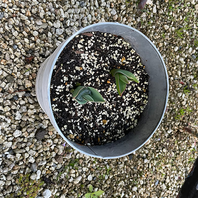 shin0719さんの部屋