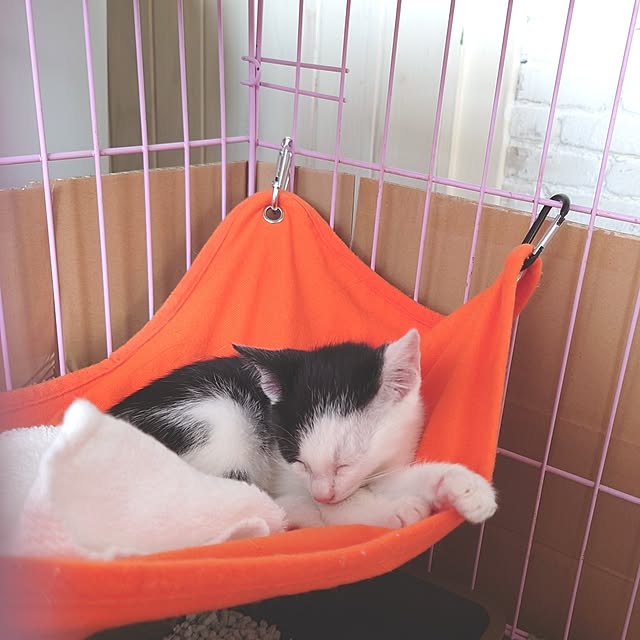 miho.okuさんの部屋