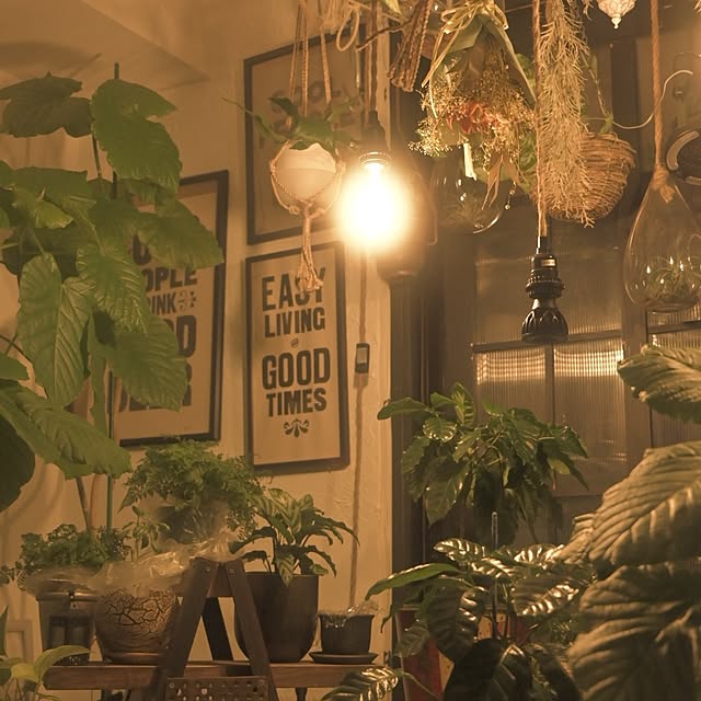 CYNOSさんのお部屋の写真