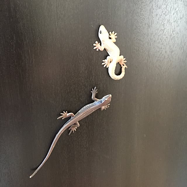 Tomokoさんの実例写真