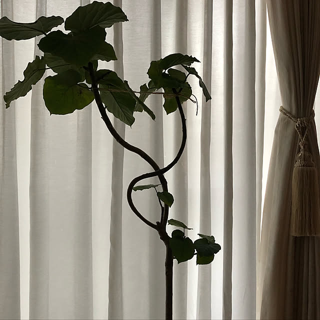 blancさんの実例写真