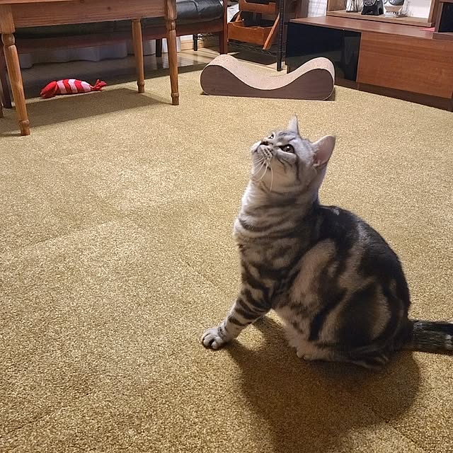 lovepeaceさんの部屋