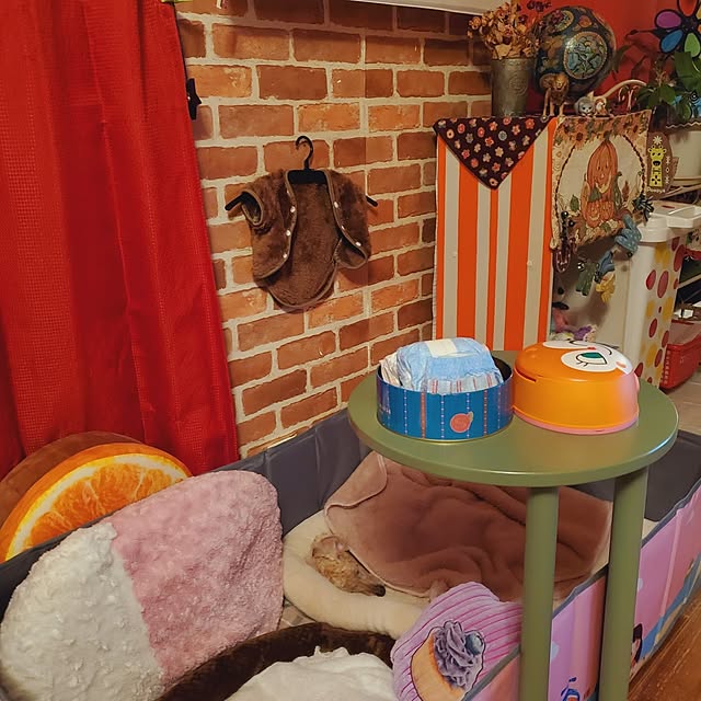 kumutanさんの部屋