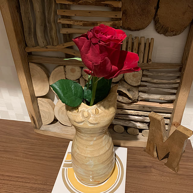 megaphonic0510さんの実例写真