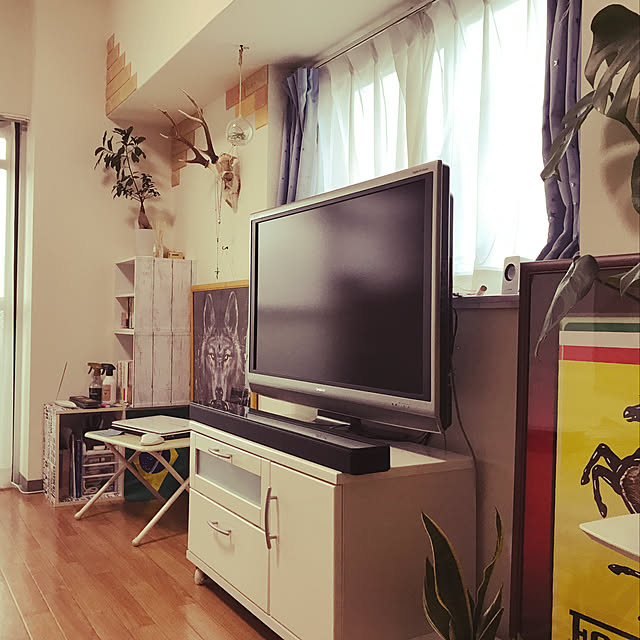 部屋全体/一人暮らし/観葉植物/DIYのインテリア実例 - 2018-12-31 08:20:53