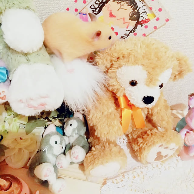 haruさんの実例写真