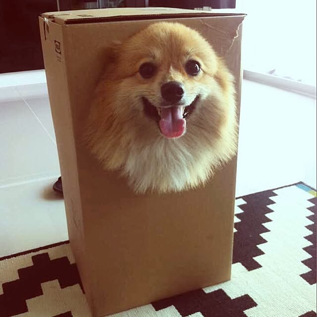 Ployさんの実例写真