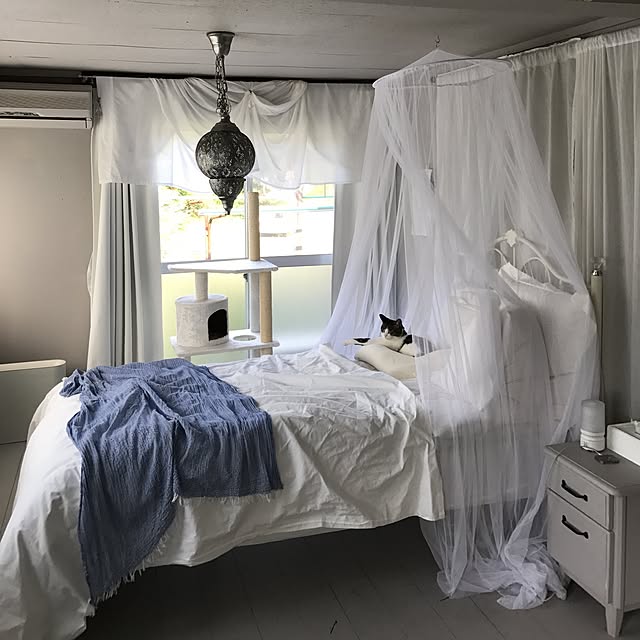 Shihoさんの実例写真