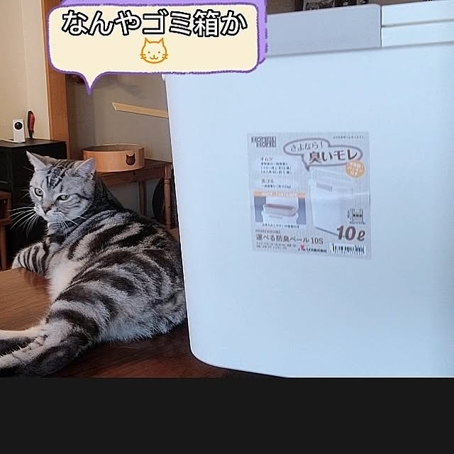 lovepeaceさんの実例写真