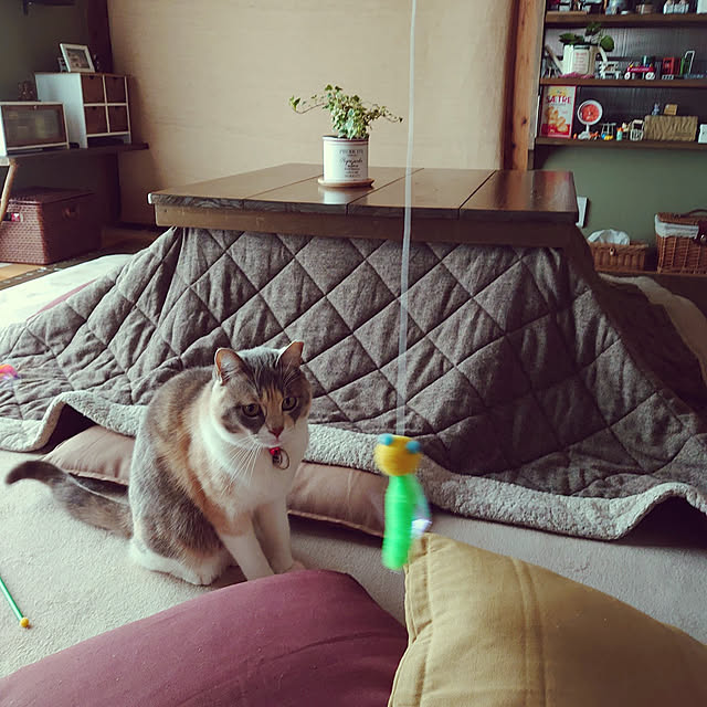 fukuさんの実例写真