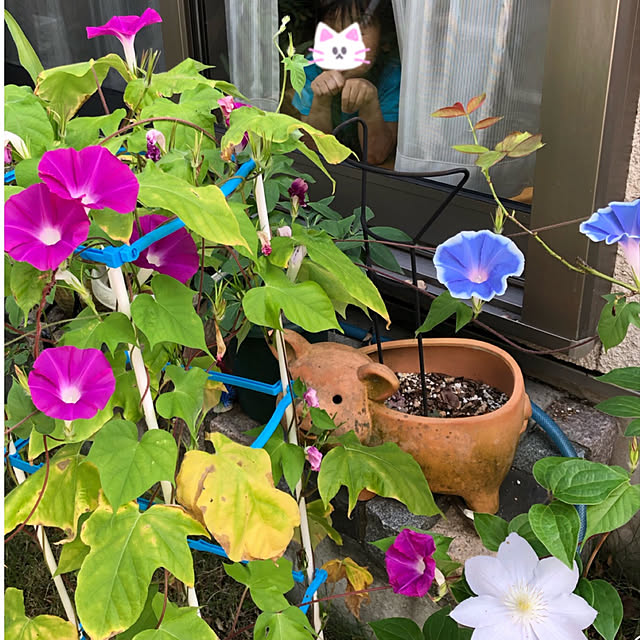 roserose555さんの実例写真