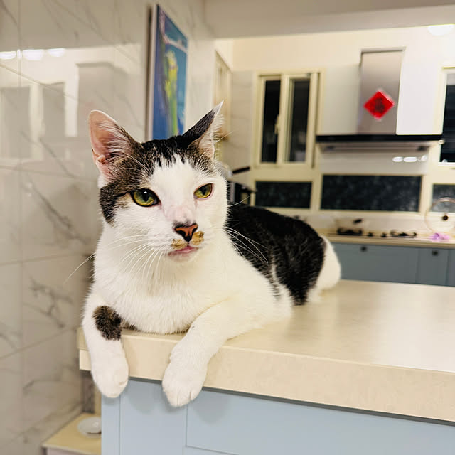 pcu110さんの実例写真