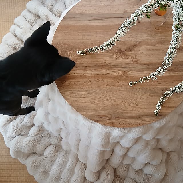 chidorinさんの部屋