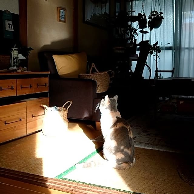 fukuさんの部屋