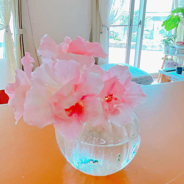 moolさんの部屋