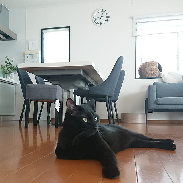 maikyさんの実例写真