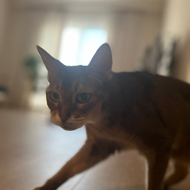 lucianoさんの部屋