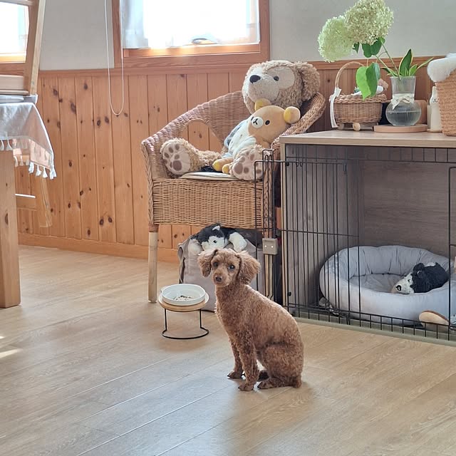 Blancheさんの部屋