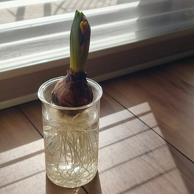 mokaさんの実例写真