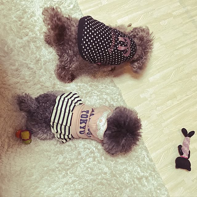 chocomamaさんの実例写真