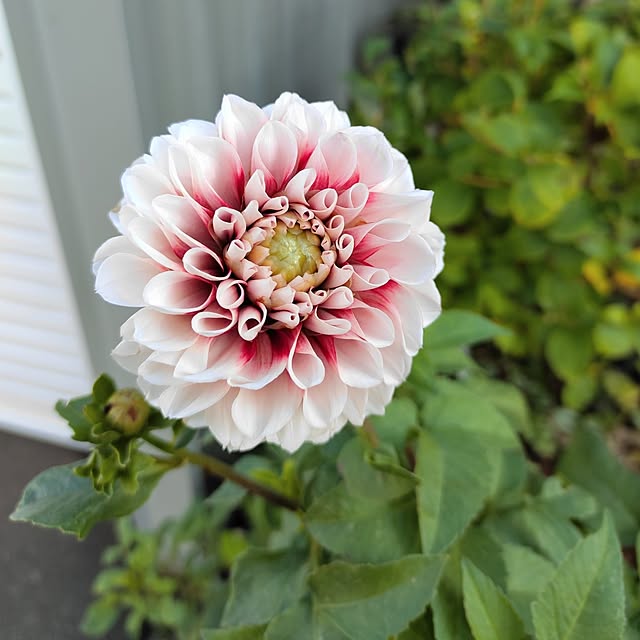 kiraさんの実例写真