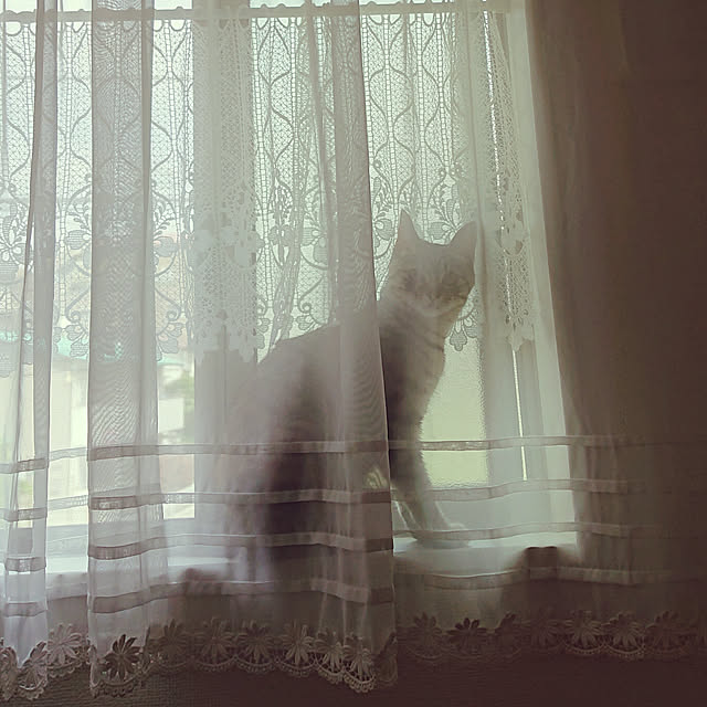 sango68さんの実例写真